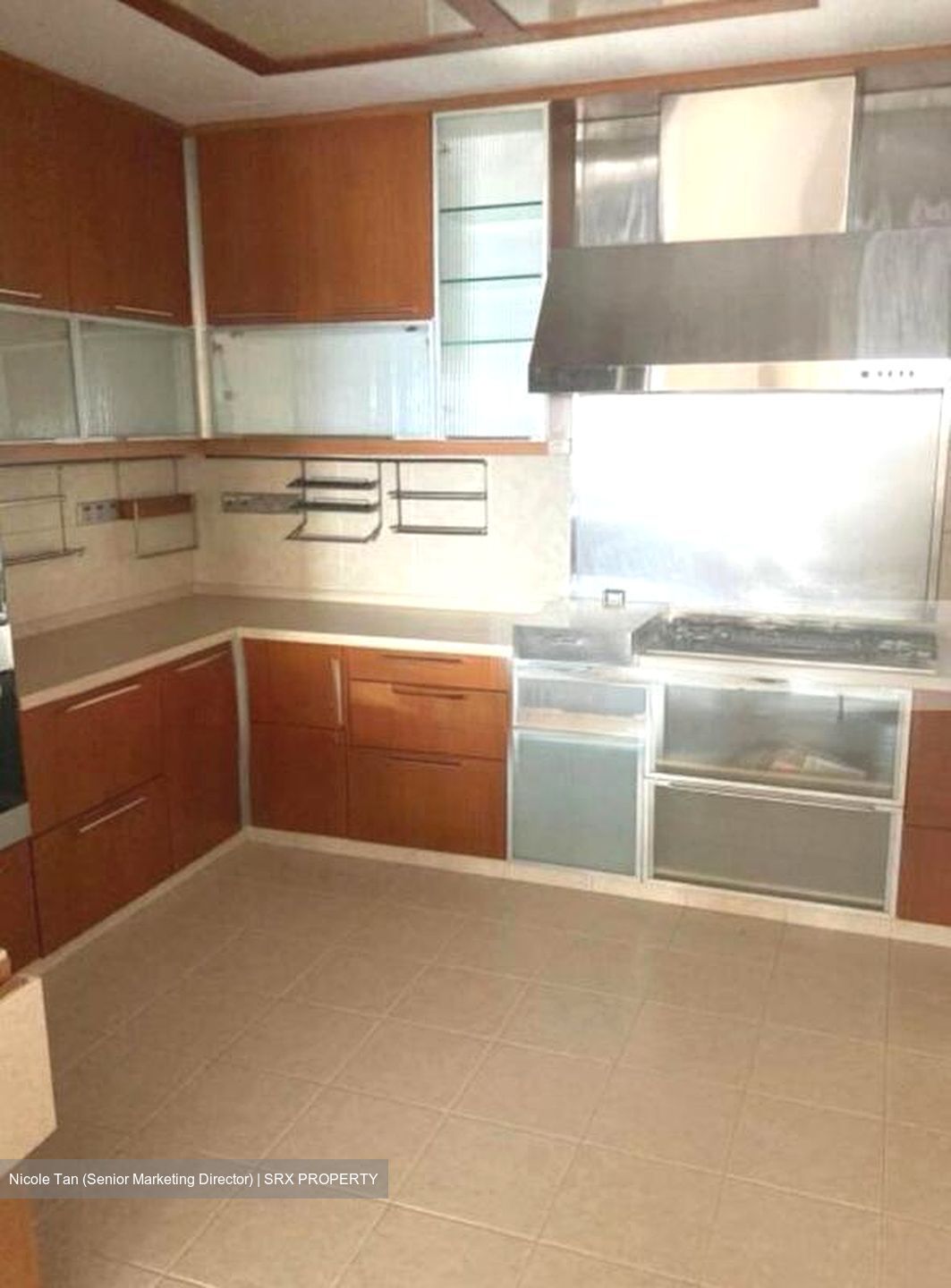 Regency Park (D10), Condominium #495644221